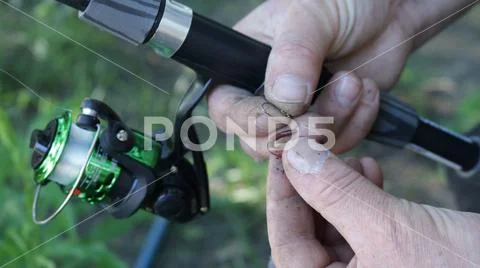 Baiting a worm on a fishing rod hook Stock Image #157289596