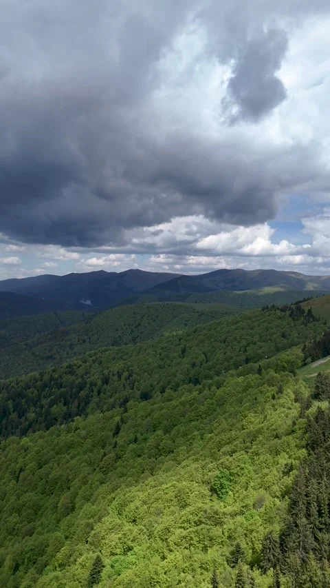 Baiu Mountains spruce forest with storm clouds aerial view Romania Stock Footage 335071871