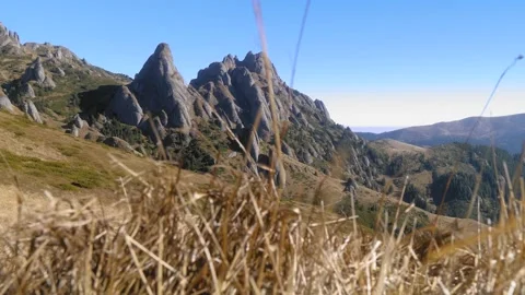 Baiului gh5 2 動画素材 168361343