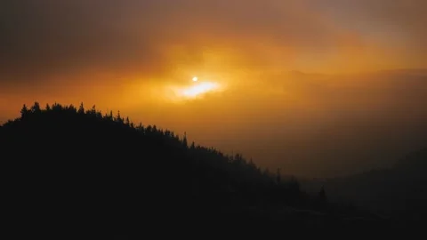 Baiului gh5 4 動画素材 168361340