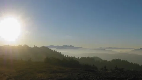 Baiului gh5 5 動画素材 168361339