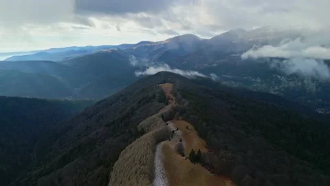 Baiului Mountains Forest Stock Footage 231554743