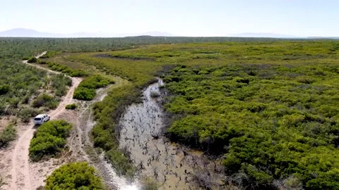 Baja Backroads Stock Footage 169772858