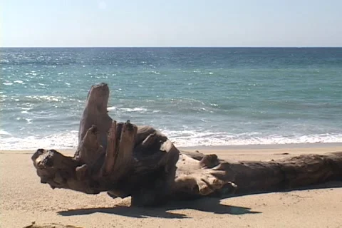 Baja Beach 1 Stock Footage 1018388