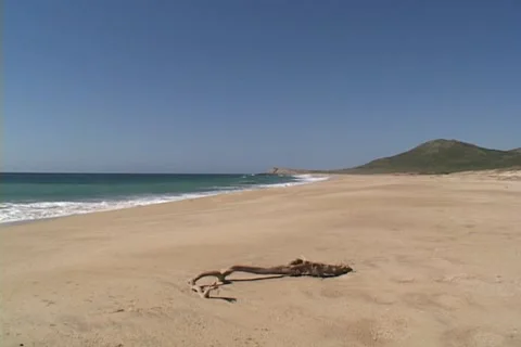 Baja Beach 6 Stock Footage 1018294