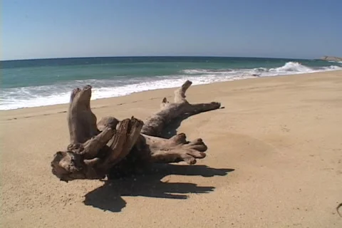 Baja Beach 8 Stock Footage 1018219