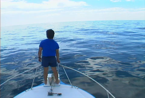 Baja boating 01 Stock Footage 507318