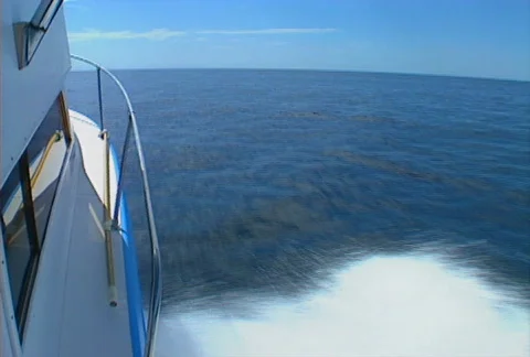 Baja boating 07 Stock Footage 507351