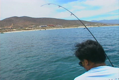 Baja fishing Triggerfish 01 Stock Footage 507501