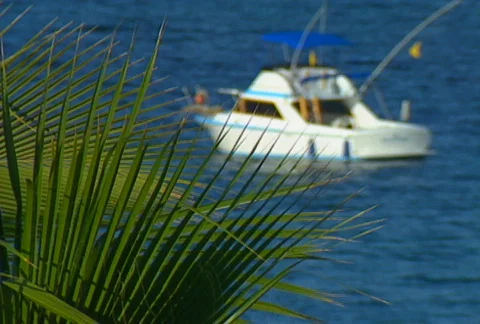 Baja scenic 03 Stock Footage 507553
