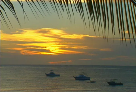 Baja scenic 08 Stock Footage 507576