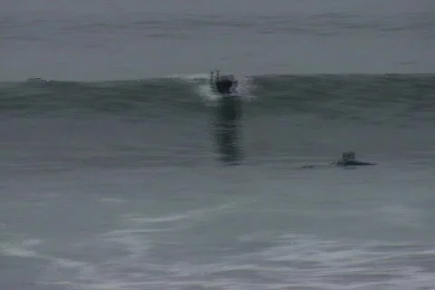 Baja Surfer Stockbeeldmateriaal 124698