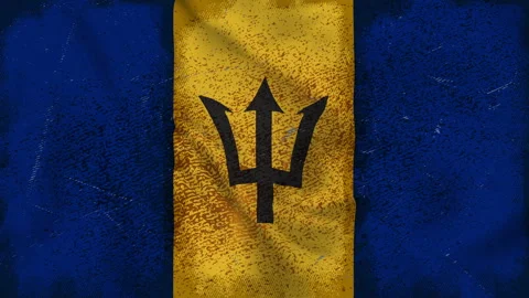 Bajan/Barbados flag Stock Footage 244149176