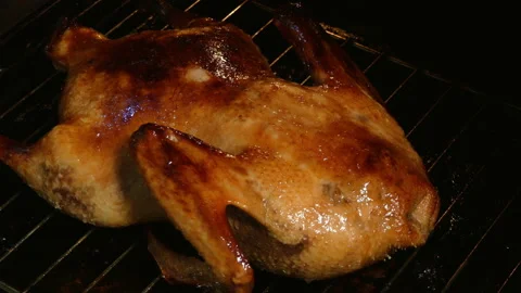 Baked Bird Greased Up Stock Footage 154998844
