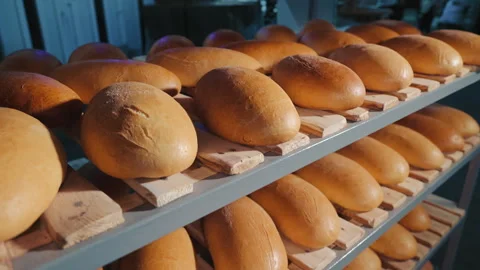Baked bread is cooled in the bakery after cooking. Rye bread on the shelves Stock Footage 244371272