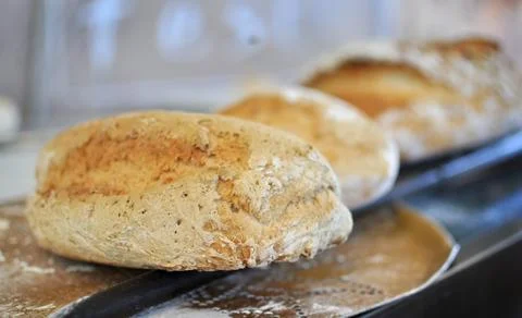 Baked bread 库存照片