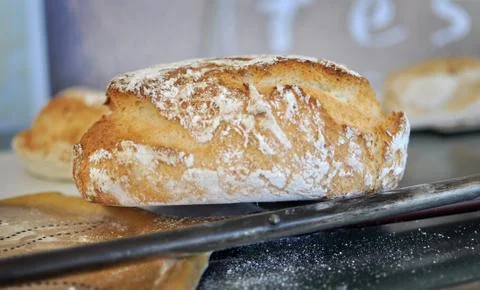 Baked bread 库存照片