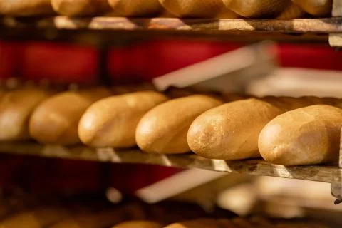 Baked breads on automatic production line bakery from hot oven Stock Photos
