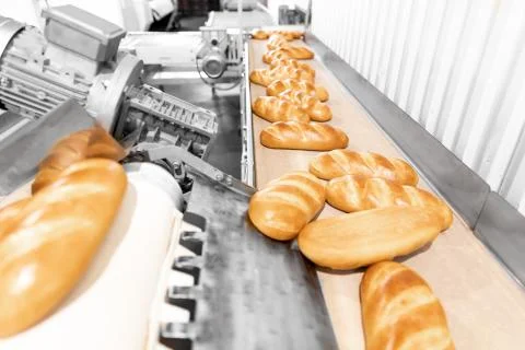Baked breads on automatic production line bakery from hot oven Stock Photos