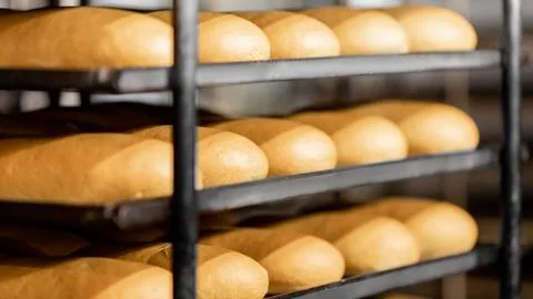 Baked breads on automatic production line bakery from hot oven Stock Photos