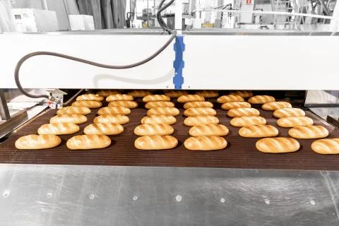 Baked breads on automatic production line bakery from hot oven Stock Photos