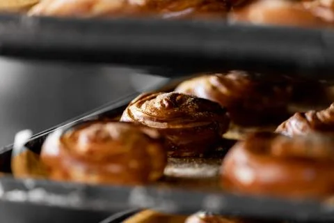 Baked breads on automatic production line bakery from hot oven Stock Photos