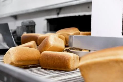 Baked breads on automatic production line bakery from hot oven 스톡 사진