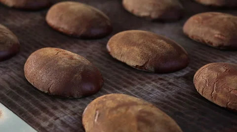 Baked Breads on the production line at the bakery Stock Footage 58083719