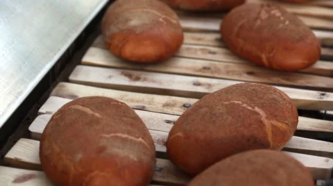 Baked Breads on the production line Stock Footage 58084506