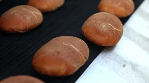 Baked Breads on the production line Stock Footage 58084809