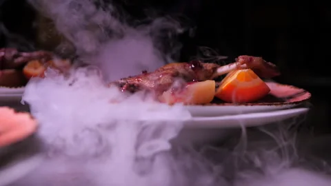 Baked duck with fruit slices Stock Footage 143425304