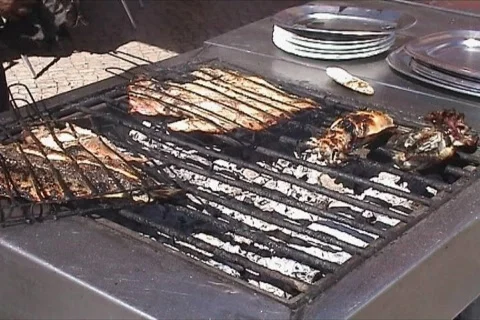 Baked fish Stock Footage 113654