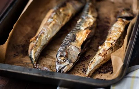 Baked Fish on a Roaster Pan Stock Photos