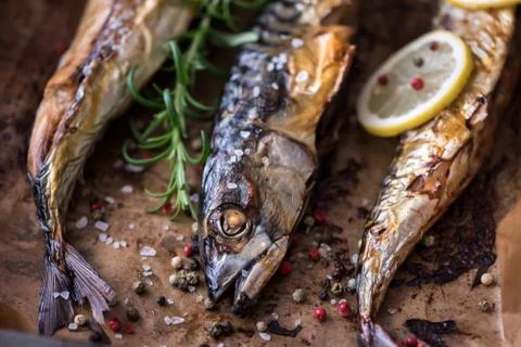 Baked Fish on a Roaster Pan Stock Photos