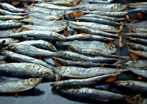 Baked herring Stock Photos