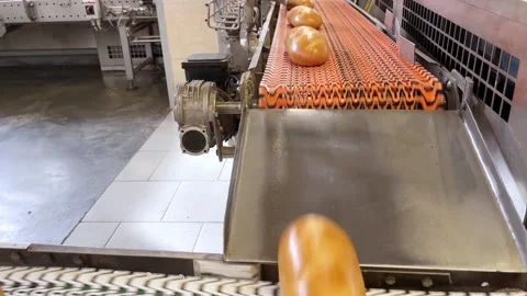 Baked loaf of bread in the bakery Stock Footage 252116355