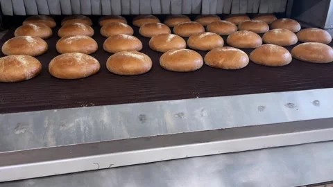 Baked loaf of bread in the bakery Stock Footage 252116543