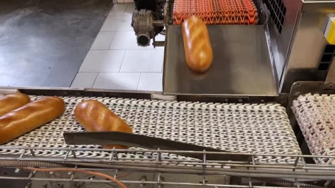 Baked loaf of bread in the bakery Stock Footage 252116797