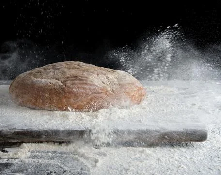Baked oval rye bread in sprinkles of white flour Stock Photos