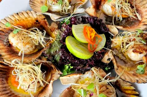 Baked parmesan scallops. Typical dish of Peruvian cuisine. Stock Photos