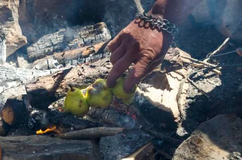 Baked pears in a camp fire Stock Photos
