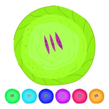 Baked pie top view on white background graphic Stock Illustration