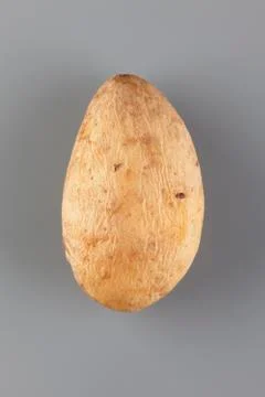 Baked Potato Only Foto stock