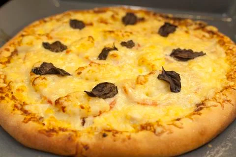 Baked quattro formaggi pizza in rectangular oven griddle. Stock Photos