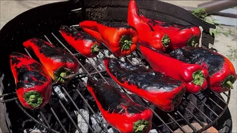 Baked Red Pepper On Grill. Vidéo 166794021
