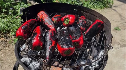 Baked Red Pepper On Grill. Stock-Footage 166794036