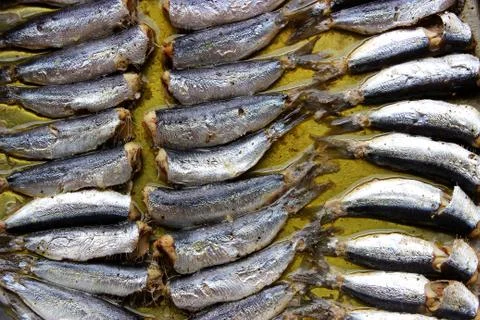 Baked sardines Stock Photos