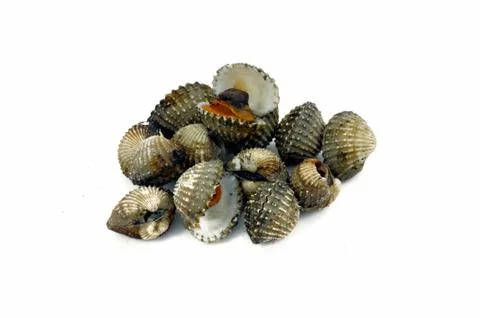 Baked scallops. Stock Photos