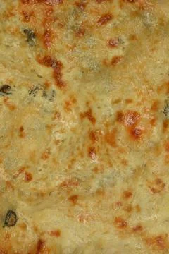 Baked spinach lasagna crust background texture. Stock Photos