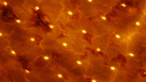 Baked tasty flat bread (lavash, pita, chapati, scone) rotating in 4K. Vídeos de archivo 89892087